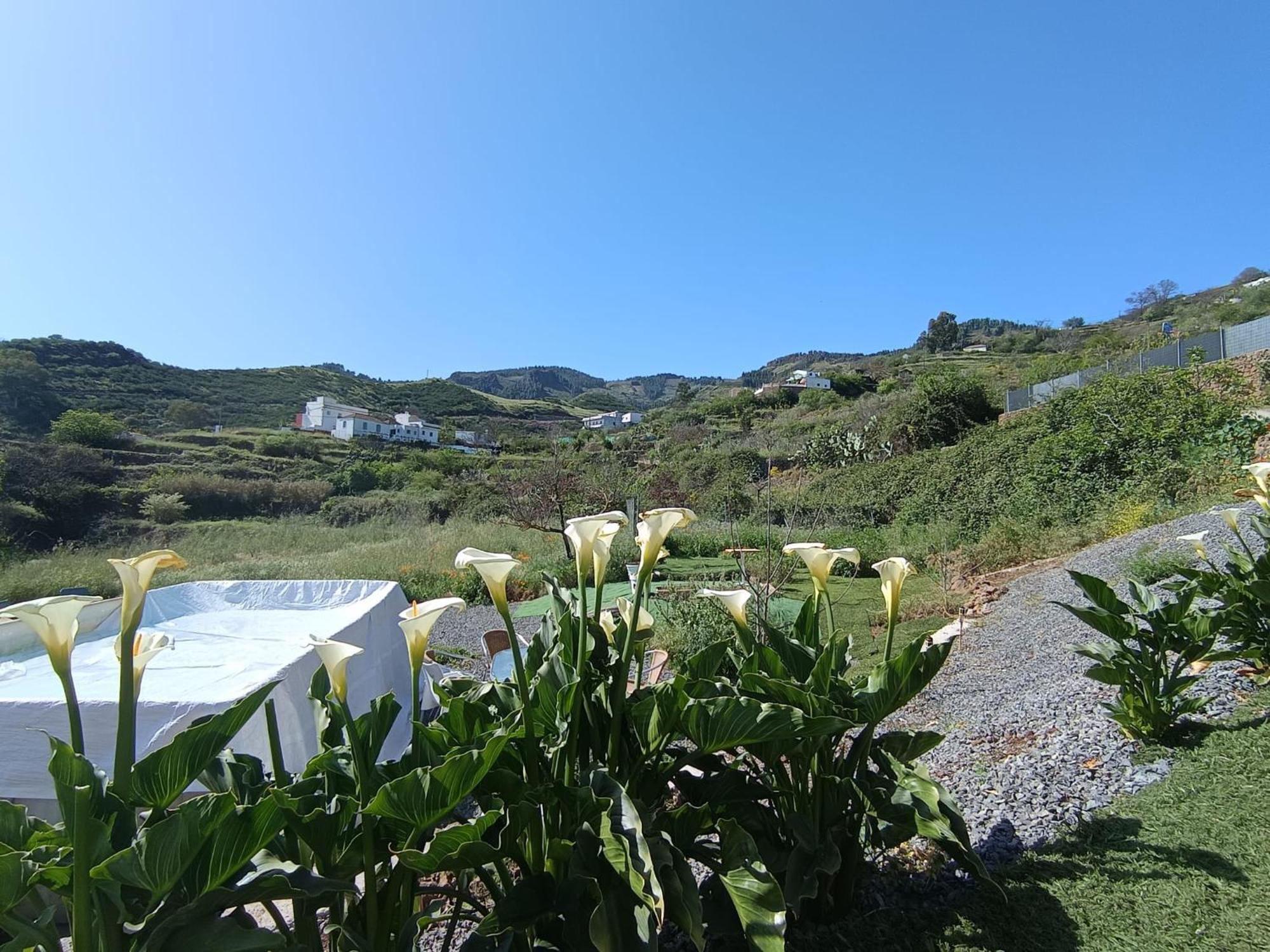 Vv Rural Finca Ecocielo Вега де Сан Матео Экстерьер фото